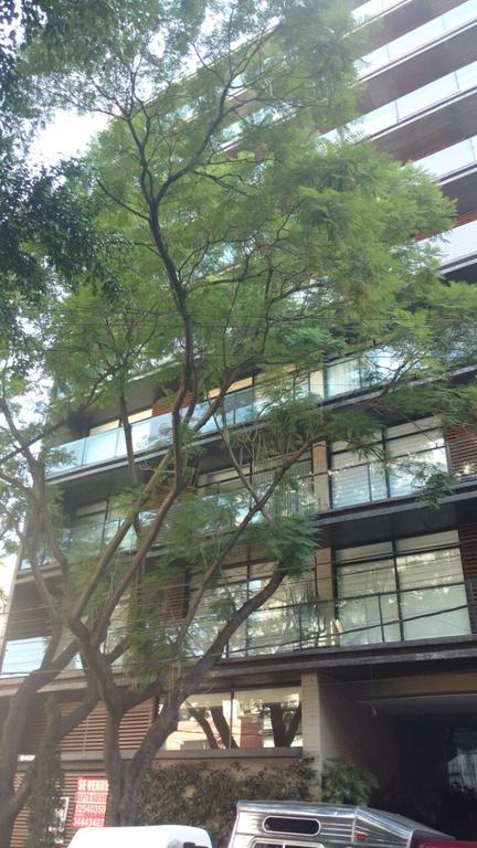 Departamento Chicago 99 Col. Napoles Mexico City